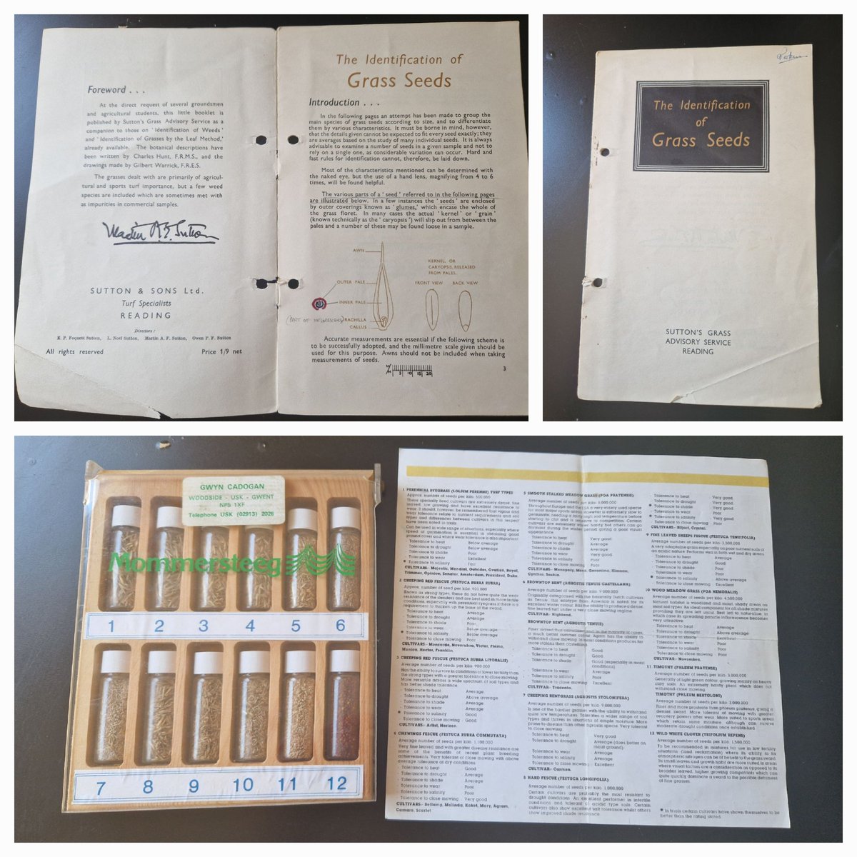 Some more vintage seed memorabilia given to me from a customer. Seed identification pack from Mommersteeg and a seed identification booklet from Suttons Grass Advisory Service Reading, pre 1971 as its price was 1/9 #poundshillingpence #grassseed