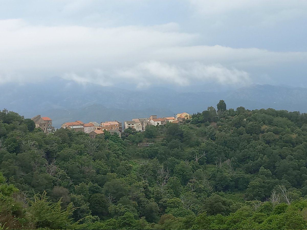 BeatrixDelarue's tweet photo. #nebbio #corsica #rando https://t.co/hXDtj94MbM