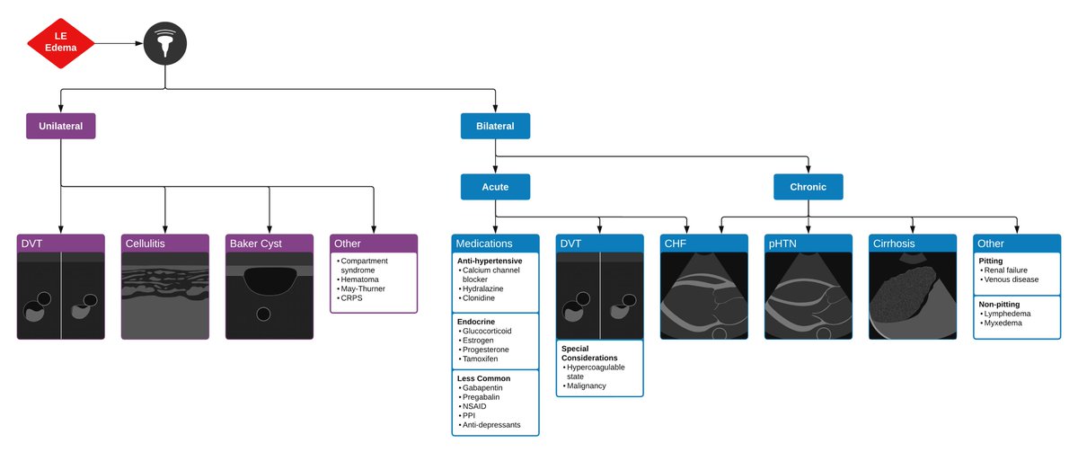Algorithm for incorporating #POCUS into the work up of lower extremity edema

From ddxof.com/lower-extremit…