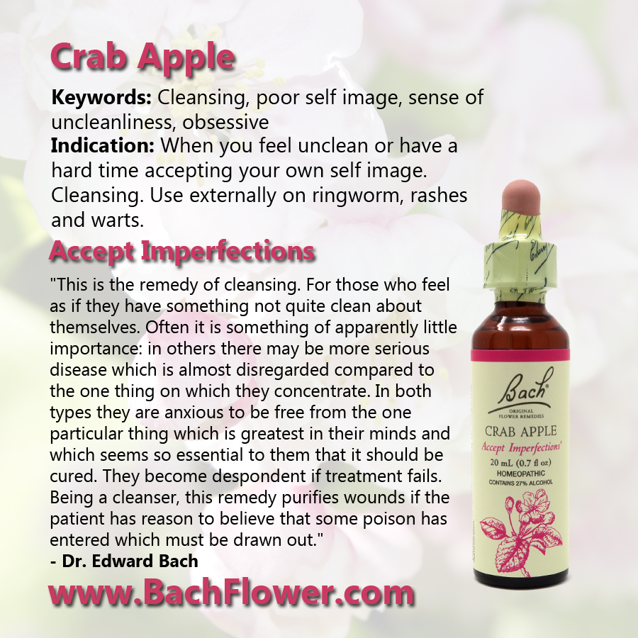 Crab Apple - Learn about the Bach Flower Remedies - mailchi.mp/bachflower/cra…
Learn more about the Bach Flower Remedies at BachFlower.com
#originalbachflower #healingwithin #wellnessquotes #holistichealth #holistichealing #harmony #mentalclutter #happiness #selfconfidence