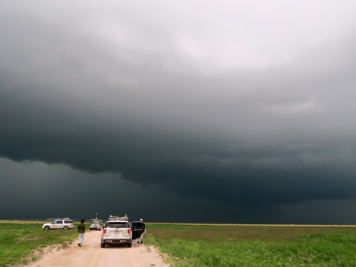 Michaela tweet media