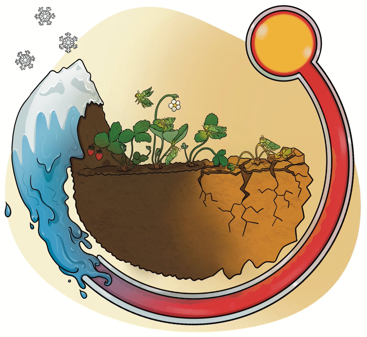 🚨 Our latest preprint is out!

☀️Can leafhoppers help us trace the impact of climate change on agriculture?❄️

After two years of original data, using historical data generated from other groups in the province, the identification of 34 000 leafhoppers, the modelling of the