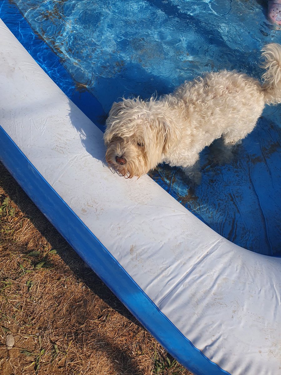 Me don't like my pool 😒 🤣🌞