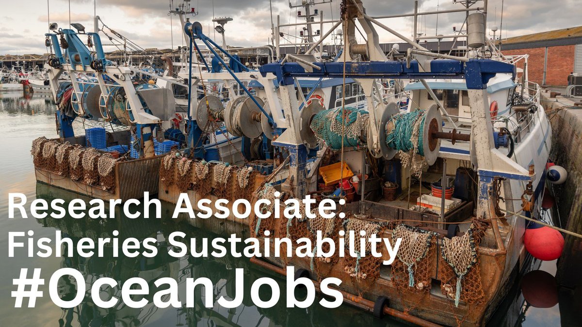 New job opportunity:
▪️Research Associate in Fisheries Sustainability – Heriot Watt University
▪️Salary: 35–£43k
▪️Location: Edinburgh, Scotland
▪️Closes: 23:59, 22 June
▪️Full details here 👉 cmscoms.com/?p=35042

Sign up for our CMS #OceanJobs alerts👉bit.ly/3MiyV7i