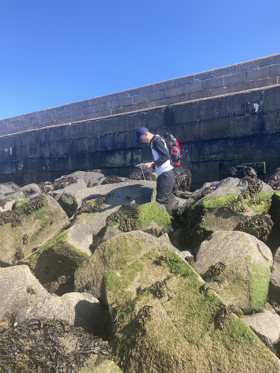 biogeomorph's tweet photo. Amazing 🤩 conditions to survey the #biogeoecotiles in Edinburgh & for MSC student to capture heatwave data to replicate @MACoombes super work on #bioprotection sea breeze is cooling !! Summer daylight makes north facing heatwave effects possible to measure @UofGGES @nature_scot https://t.co/AxFBIK2B3M