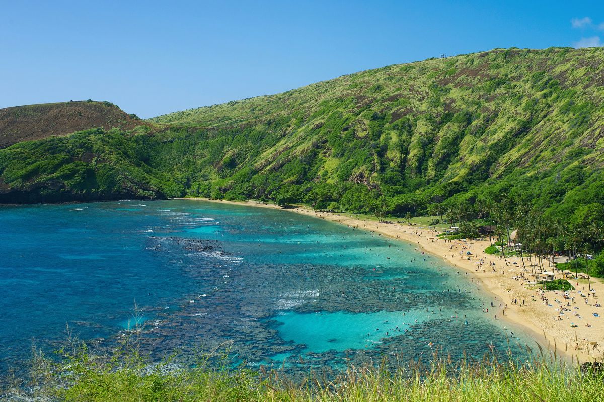 insureca4less's tweet image. The Central Pacific hurricane season is already underway, and the state is preparing for damage.
The...READ More #CentralPacificHurricaneCenter #coralreefhurricanedamage #coralreefprotection #elnino #Hawaiicoralreefs #Hawaiiinsuranceindustry

bit.ly/440iq8k