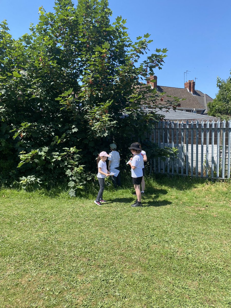 Orienteering was so much fun today! The y4s were fantastic at map reading and really blew the teachers away! Well done everyone!