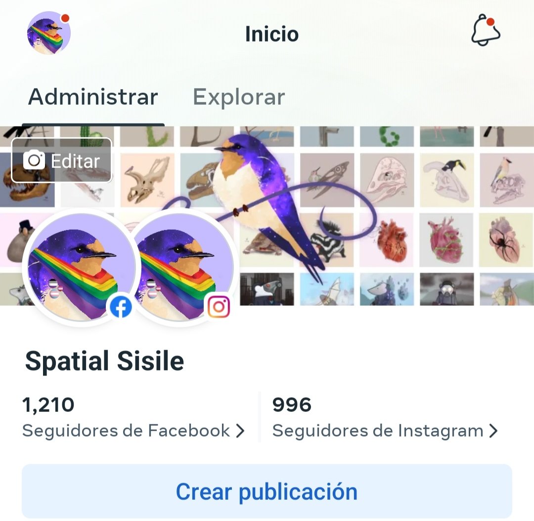 SpatialSisile's tweet photo. Marce, el 1k me respira en la nuca. 

Ya casi son mil seguidores en Instagram 🥺 https://t.co/R5LFgydEBJ
