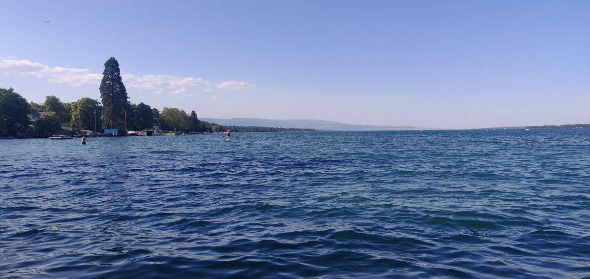 valpesendorfer's tweet photo. And now the more interesting update: the lake is nice and warm! 🏊‍♂️☀️
#lakegeneva https://t.co/ywfipn5763