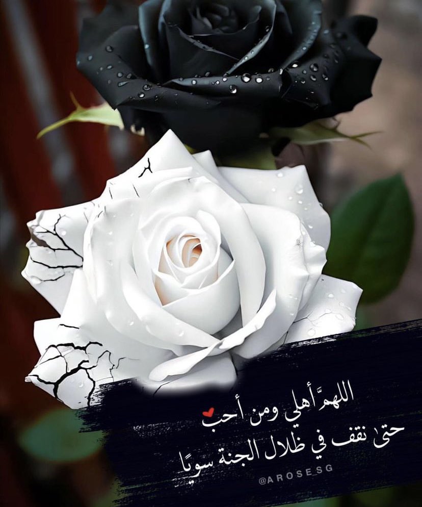 myrh3a's tweet photo. https://t.co/u2GW4AEPFh