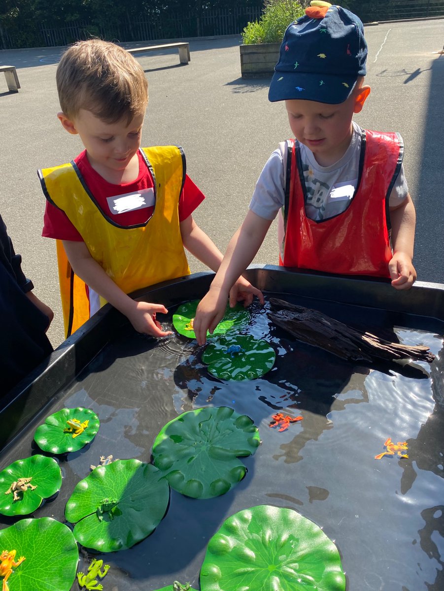AitonPs's tweet photo. It was a lot of fun playing outdoors with the frogs and the water this morning.
#transitionvisit #newPrimary1 https://t.co/JLsqq0oyTo