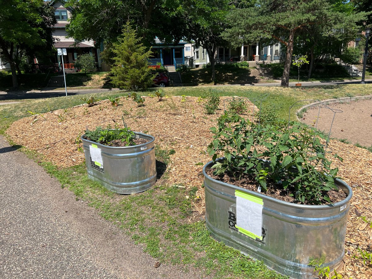 Mueller Park's lovely new edible landscape can use your help with watering! Find out more and sign up here:
signupgenius.com/go/9040a44a4aa…