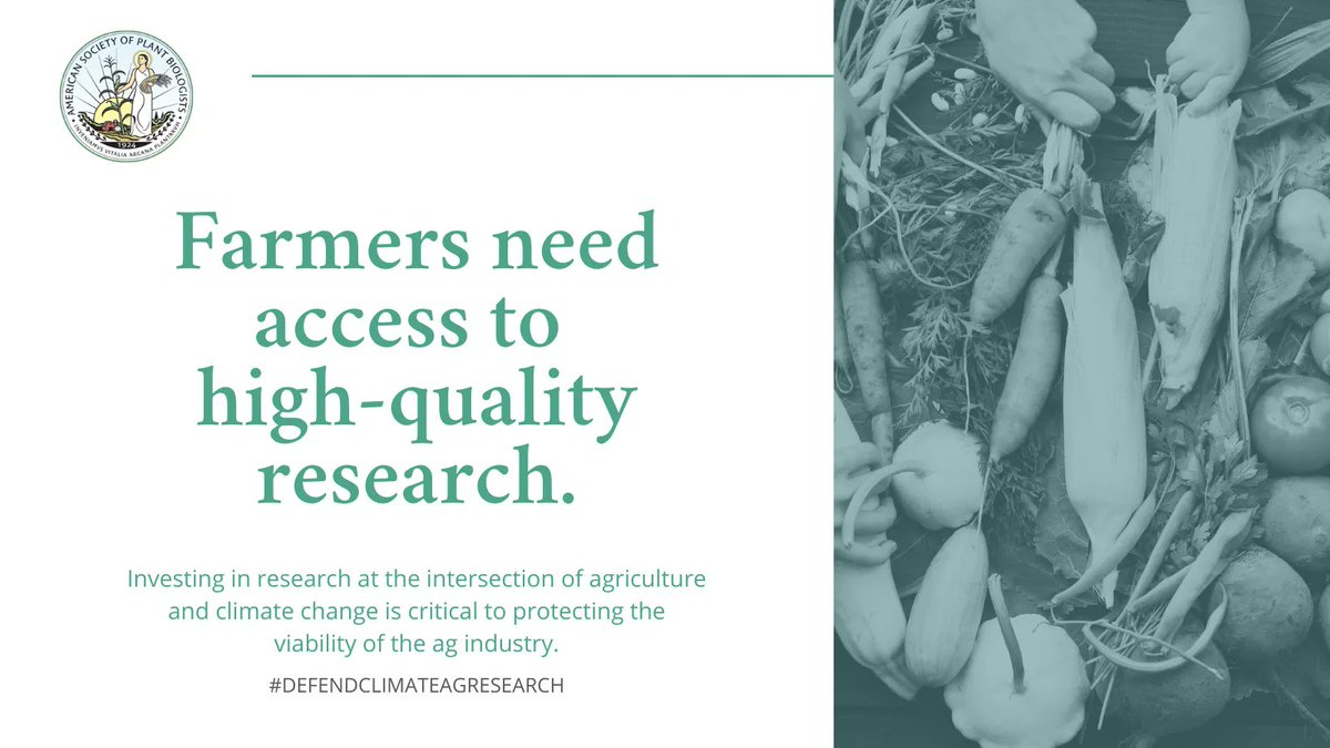 ASPB joined <a href="/sustainableag/">NSAC</a> &amp; 50+ food/farm/conservation/rural orgs in urging Congressional Appropriators to protect publicly funded agriculture research, especially for <a href="/USDA/">Dept. of Agriculture</a>’s innovative #climatechange research. Details: buff.ly/43VXm2x