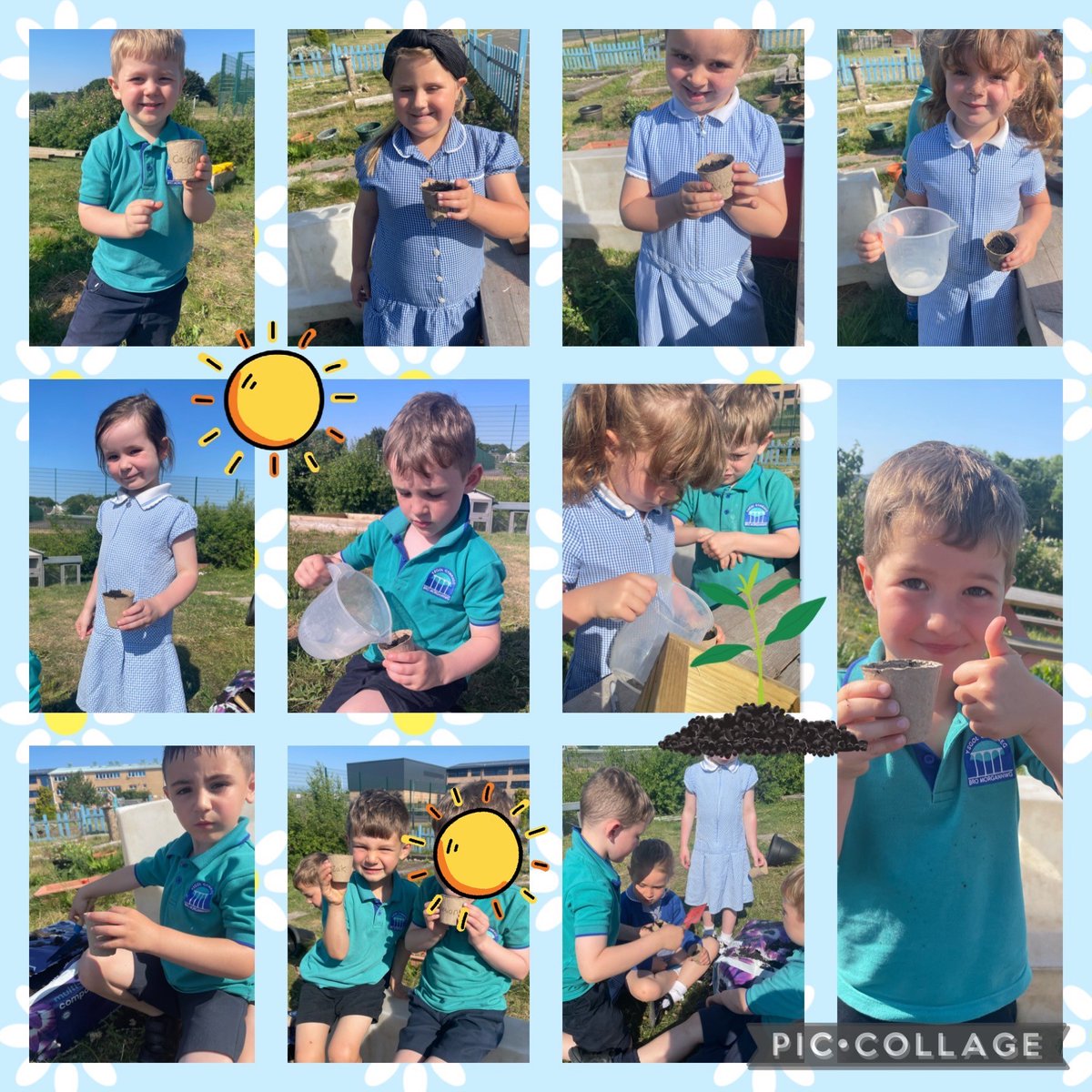 Rydym wedi mwynhau treulio amser yn yr ardd yr wythnos yma ac wedi plannu blodau haul ein hunain 🌻☀️

We've been enjoying time in the outdoor garden this week and planting our own sunflowers 🌻☀️
