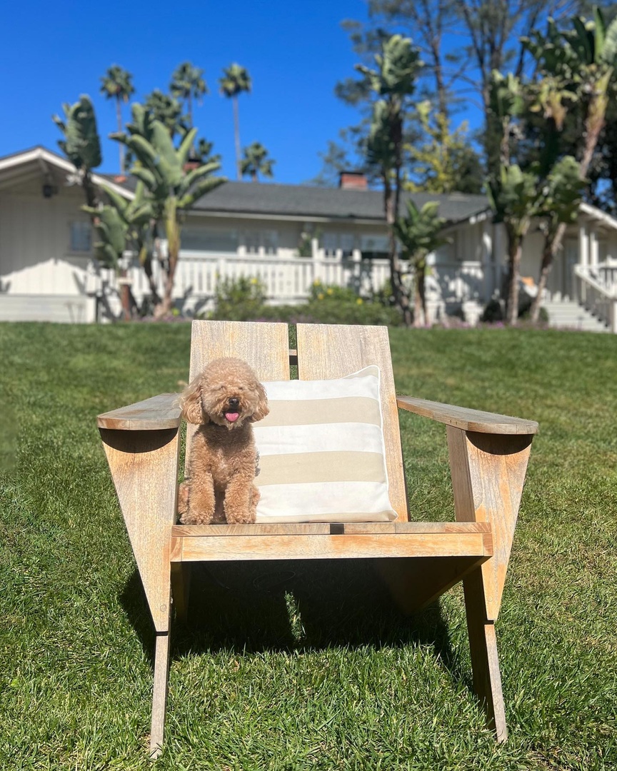 You’ll never want to leave your pooch at home again after a stay at one of these pet-friendly properties: bit.ly/3fe5Tds #SeeSB 

📷: sayhellobeau via Instagram