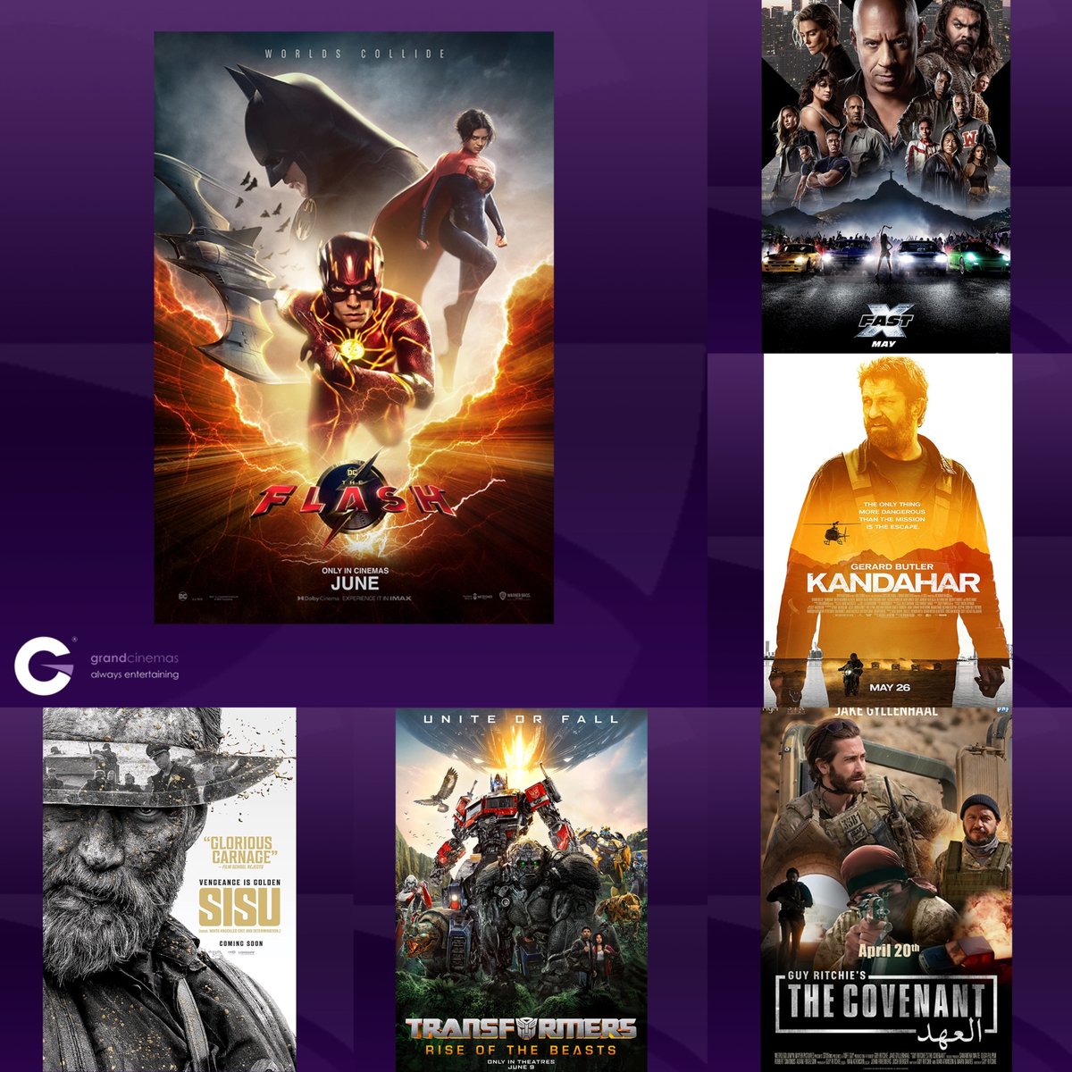 Grand Cinemas | جراند سينما tweet media