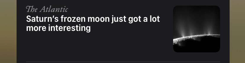 It read Infinite Jest?