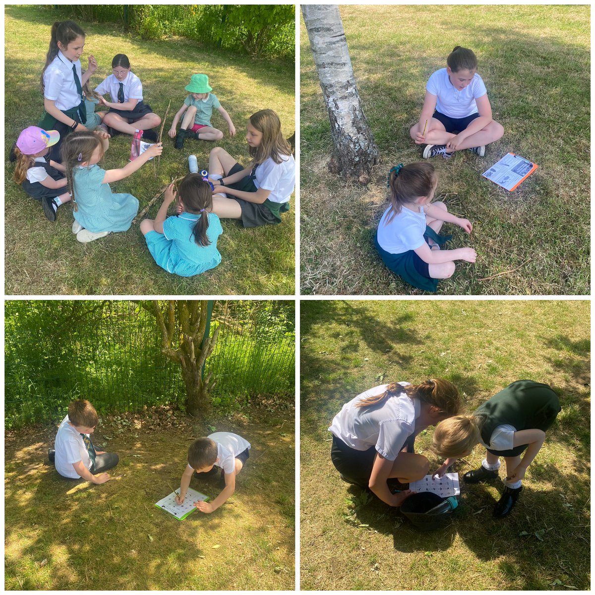 Miss Hollinger tweet media