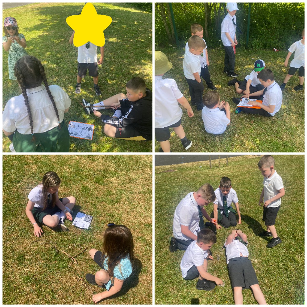 Miss Hollinger tweet media