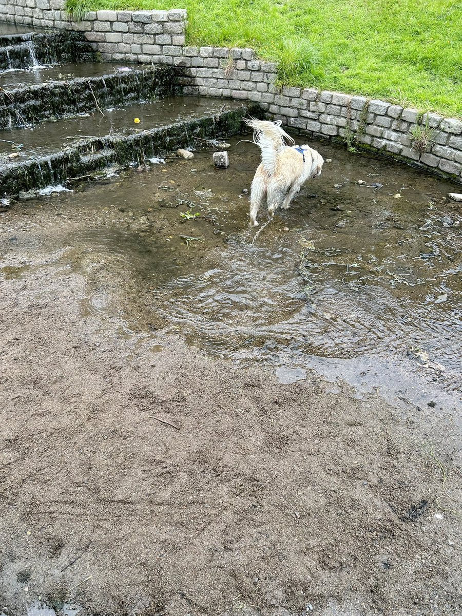 Oi!! Who turned off the tap at my local stream? I’m still going to have a #mudbath if veteran turns his back!