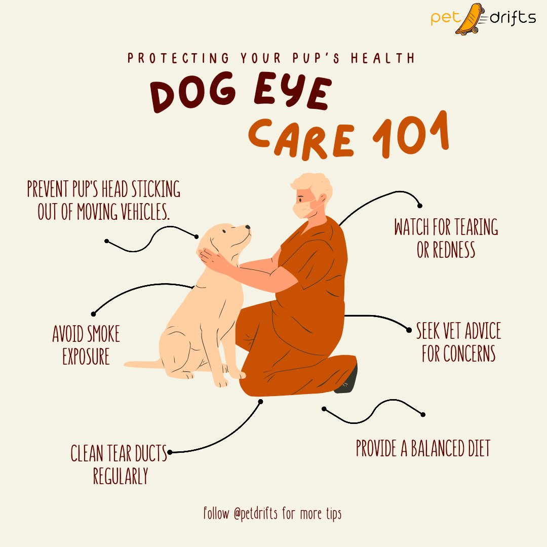 Pet Drifts on Twitter "Keep your furry friend's eyes healthy and
