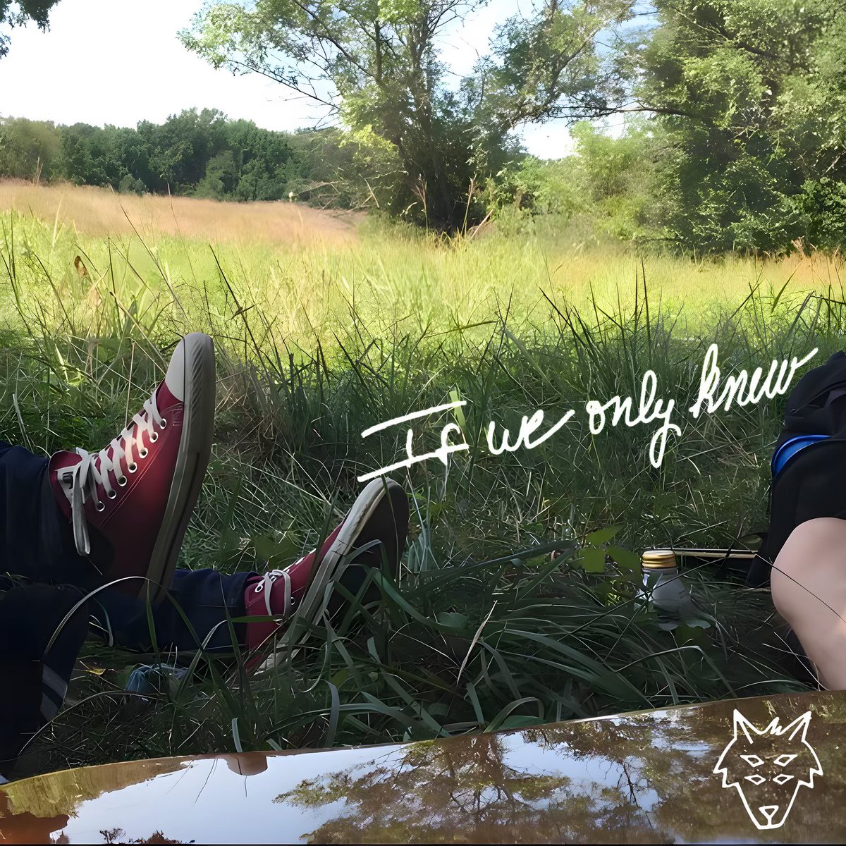 “If We Only Knew”
Available Everywhere June 16th 2023

#WolfoxWednesday #WolfoxNJ #IfWeOnlyKnew #PointlessRecords #PreSave #PopPunk