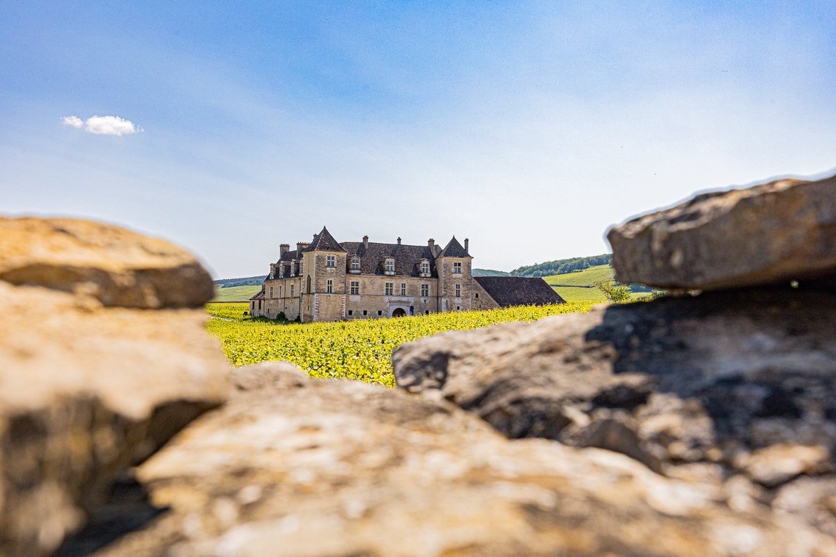 Série 'Castle mania' Château du Clos de Vougeot 

Un si beau cadre dans le viseur, un sujet délicatement lové au creux de la pierre, tout en passant pour une autre idée. Tout un plaisir de se balader et de créer. 

#chateauduclosdevougeot #vignes #cotedor #magnifiquefrance