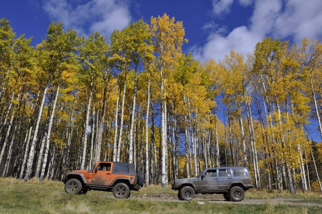 Fall in Canada 🍁 
#jeep #jeepjk #jeepxj #jeepfamily