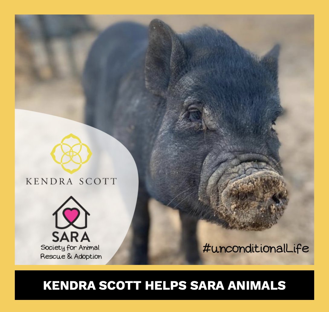 🤠💍 LOCAL TEXAS GAL KENDRA SCOTT HELPS 700+ RESCUED ANIMALS. Find out how Kendra Scott is helping SARA SANCTUARY.  Meet our SARA team &amp; adoptables in the Austin shop today! Shop online and 20% supports our animals. mailchi.mp/sarasanctuary/…