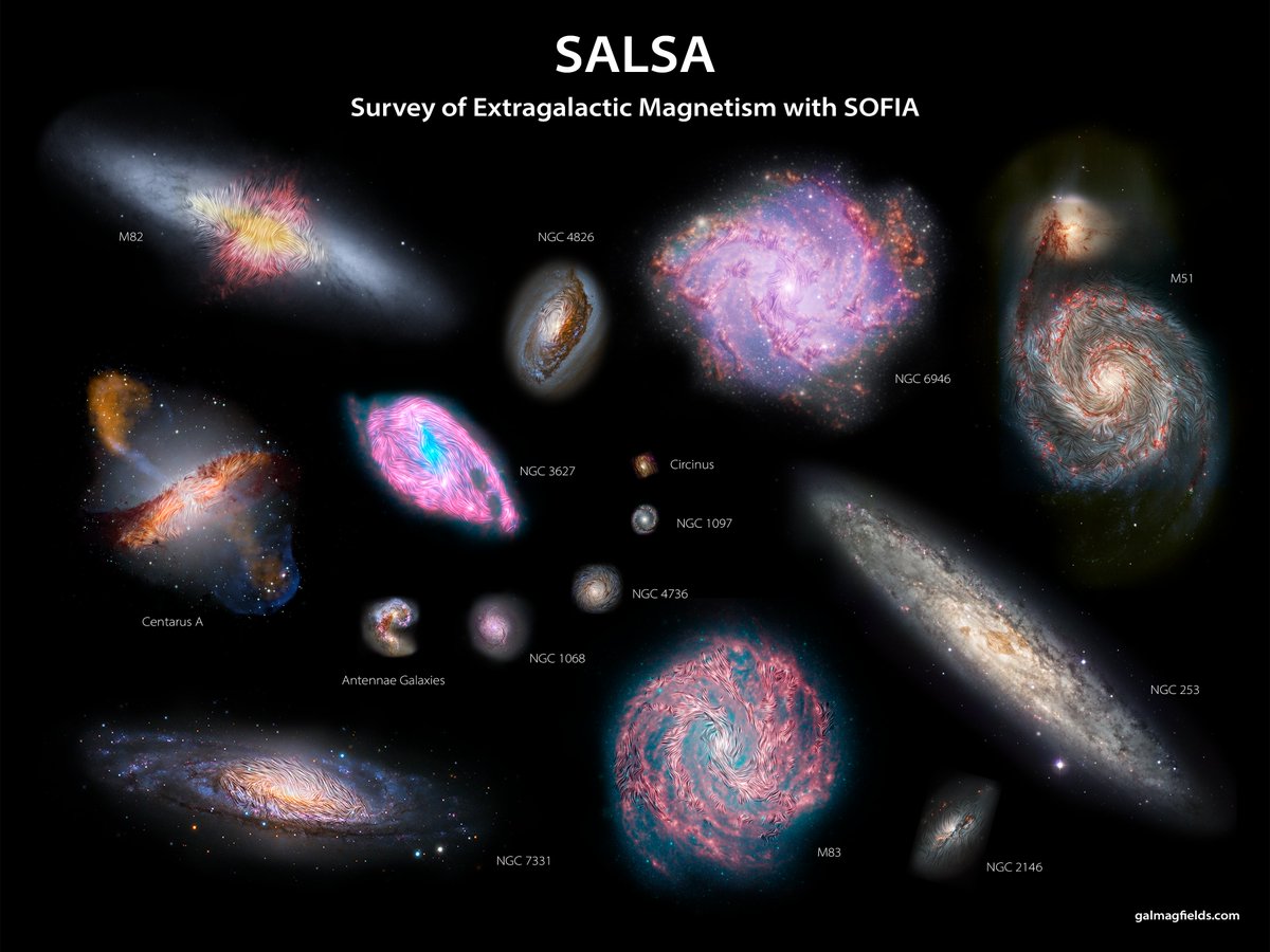 Alejandro S. Borlaff (@asborlaff) on Twitter photo Today we present the latest view of <a href="/SOFIAtelescope/">SOFIA Telescope</a> at the magnetic fields that live in the interior of galaxies.
We explored 15 galaxies using the airborne telescope to reveal the order and chaos of the magnetic fields in the dense, cold molecular clouds where stars are born Today we present the latest view of <a href="/SOFIAtelescope/">SOFIA Telescope</a> at the magnetic fields that live in the interior of galaxies.
We explored 15 galaxies using the airborne telescope to reveal the order and chaos of the magnetic fields in the dense, cold molecular clouds where stars are born