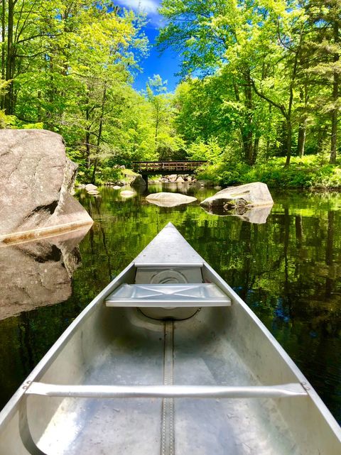 vt_cnre's tweet photo. Happy Nature Photography Day! Here are some of our favorite photo submissions.

Thank you to everyone who submitted a photo. We hope you all have a chance to get out in nature this weekend. 📷 https://t.co/1b2Zmtppf6