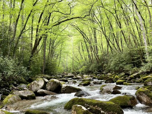vt_cnre's tweet photo. Happy Nature Photography Day! Here are some of our favorite photo submissions.

Thank you to everyone who submitted a photo. We hope you all have a chance to get out in nature this weekend. 📷 https://t.co/1b2Zmtppf6
