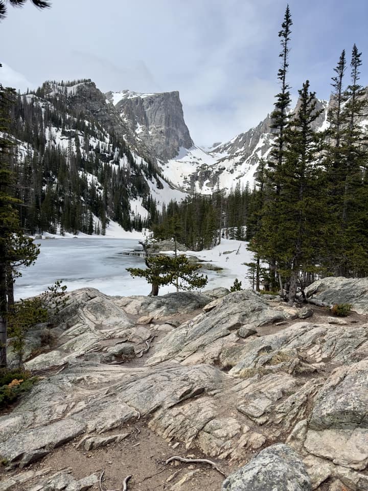 vt_cnre's tweet photo. Happy Nature Photography Day! Here are some of our favorite photo submissions.

Thank you to everyone who submitted a photo. We hope you all have a chance to get out in nature this weekend. 📷 https://t.co/1b2Zmtppf6