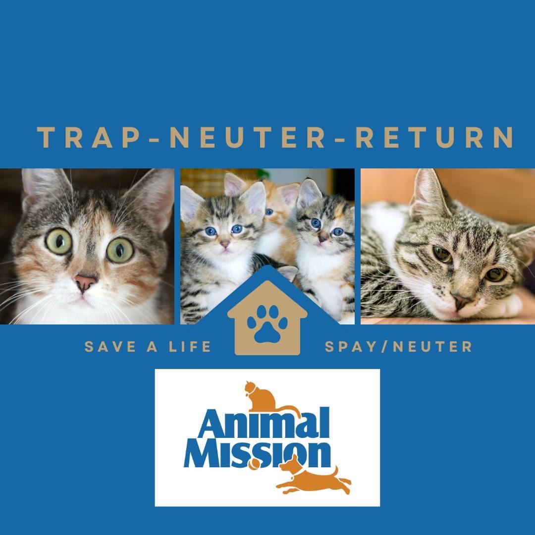 Animal Mission tweet media