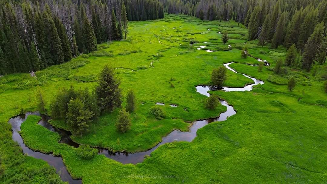 Packers Meadow from above.  #montanamoment #mikewilliamsphotography #dronephotography #aerialphotography #publiclands #springtime