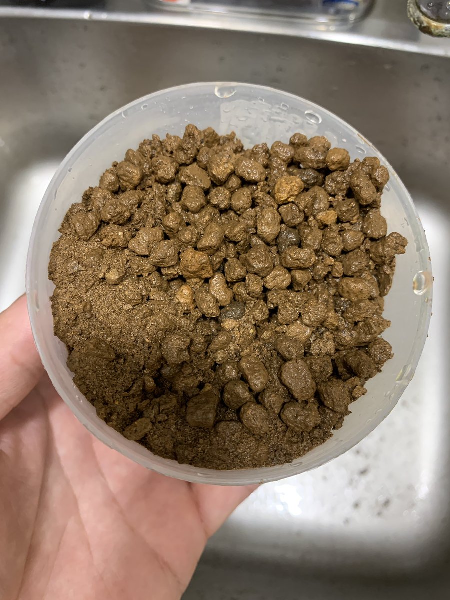 plastic_girl508's tweet photo. 赤玉 二本線
やっぱりダメだ.....
植え替えて調子悪いの根腐れの可能性あるな....
2袋ゴミやん....
ホムセンのやっすい赤玉土とかわらんやん(´・_・`)
#DOUBLELINE さん!!!
#赤玉土
#二本線 https://t.co/81cYpEZzg7