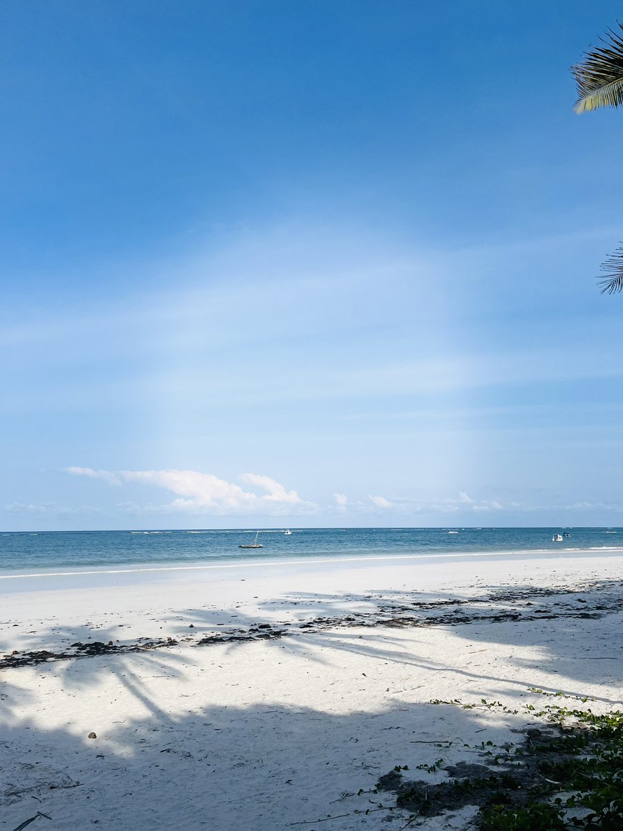 Hafeezah Abdullah tweet media