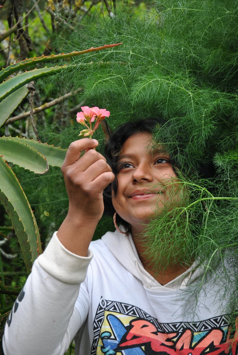 Creemos en los sueños de los niños, niñas adolescentes y jóvenes del país.
Garantizar entornos de protección, educación y bienestar ayudará a impulsar los proyectos de vida de las juventudes y les permitirá desarrollar sus talentos y capacidades a favor de una sociedad en paz.
