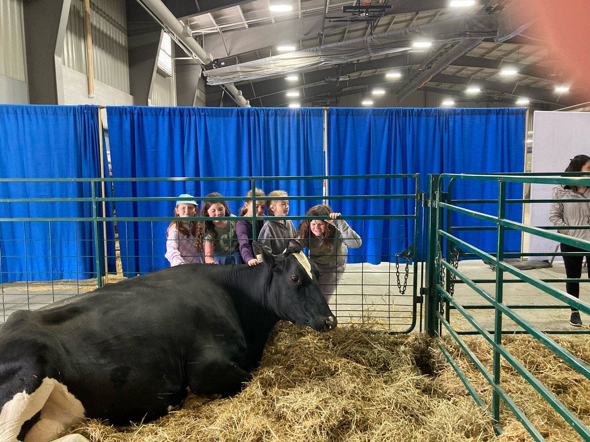 milvertonps's tweet photo. Milverton PS grade 2/3 and 3/4 students having a great day learning about agriculture:) https://t.co/CW6tICIyut
