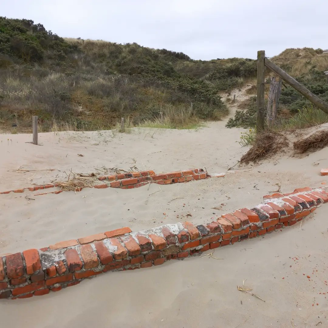 Ilse82667651's tweet image. A few days at our Belgian coast.
#joyinspring