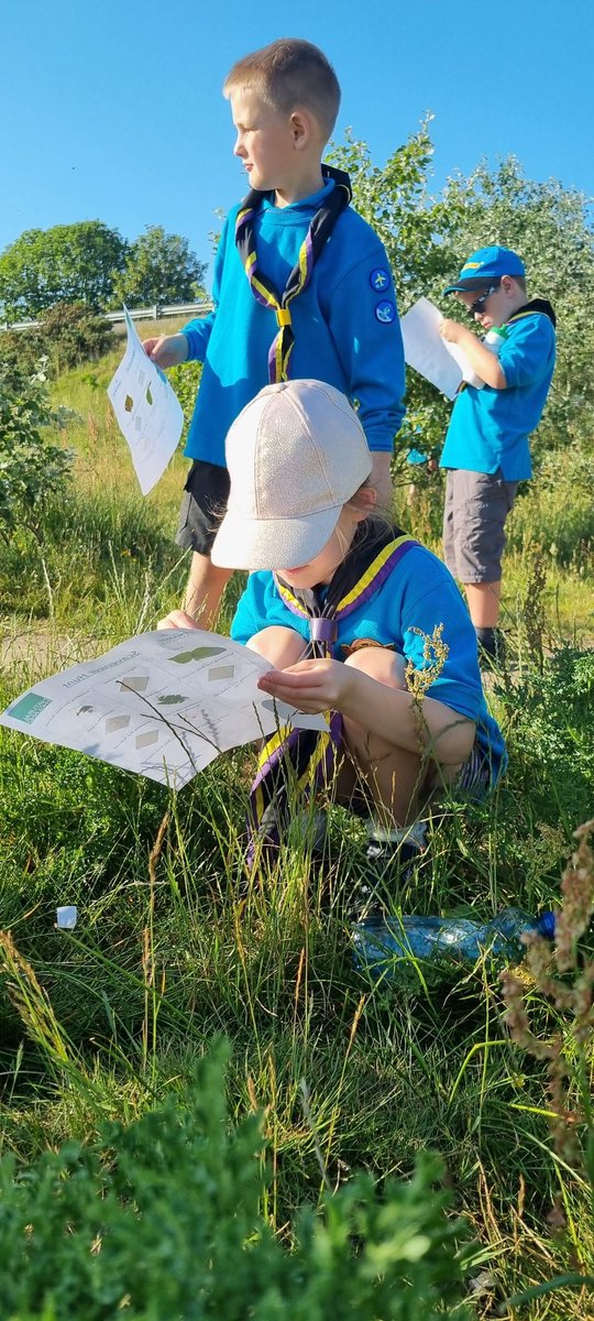 1stwillowbeaver's tweet photo. What a lovely evening for a Nature Scavenger hunt. Thank you Natalie and Charlotte @dynamicdunes for giving us a great time. We are so lucky to have all this on our doorstep @SeftonNorth @1stSouthport @AinsdaleNNR @GreenSefton https://t.co/fyMdLpi6nR