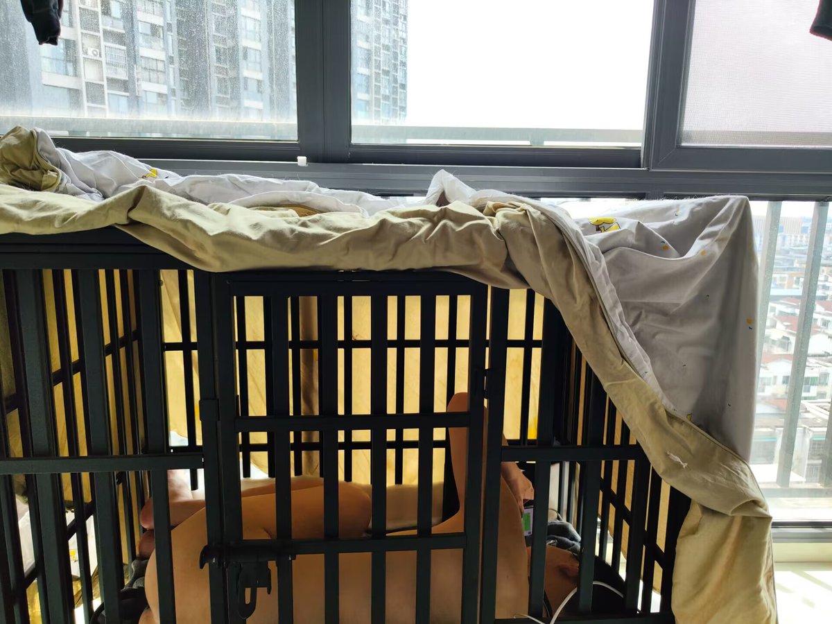 188SSSm's tweet photo. 还有人想住进来吗，在成都，图片里面的狗已经把位置空出来了 https://t.co/kJtE0mkCA4