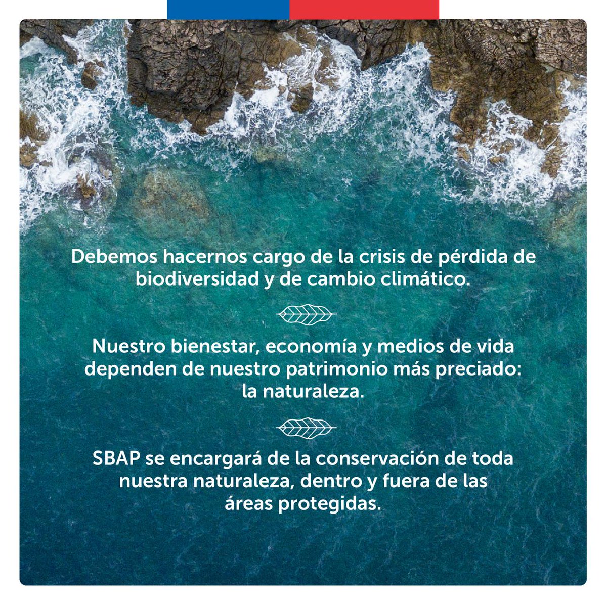SMA_CL's tweet photo. ¡Día histórico!

El Servicio de Biodiversidad y Áreas Protegidas #SBAP será una realidad. Hoy, tras 13 años de tramitación, se aprobó la #LeyParaLaNaturaleza que permitirá proteger los ecosistemas de Chile 🇨🇱 y completar la institucionalidad ambiental🌿

¿Sabes en qué consiste?👇 https://t.co/lu2rpffddA