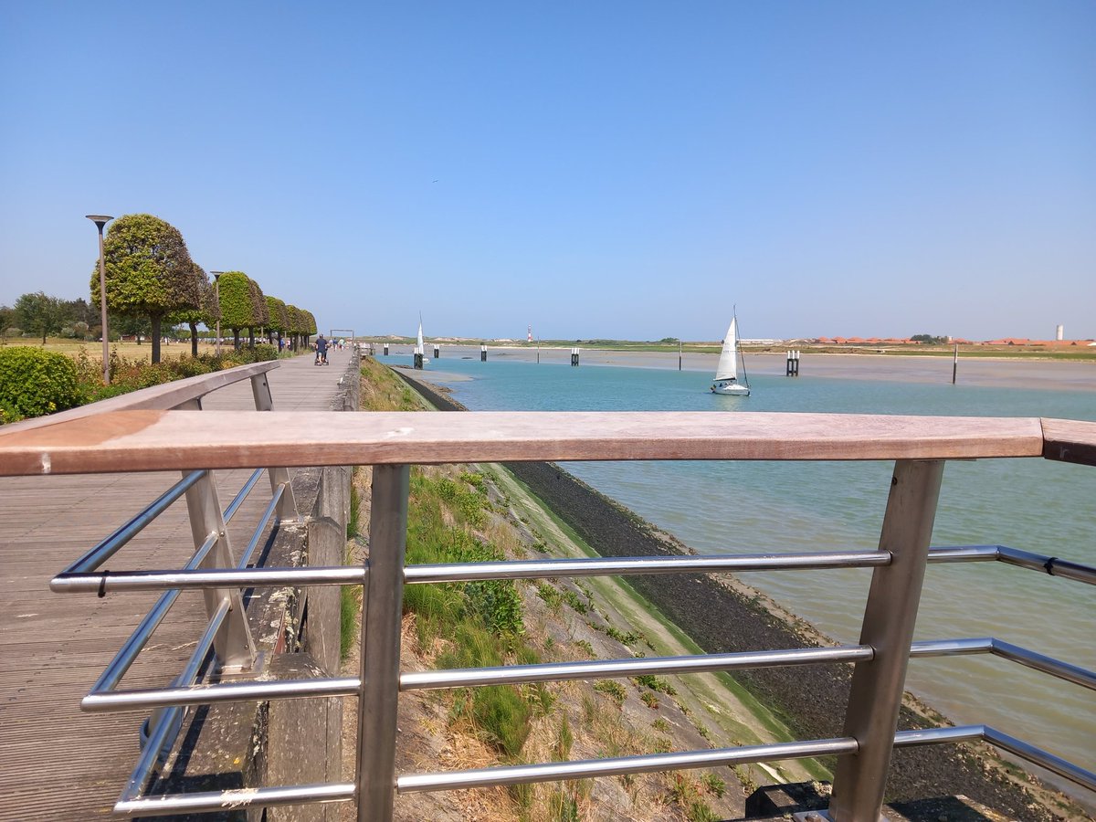 Ilse82667651's tweet image. #joyinspring