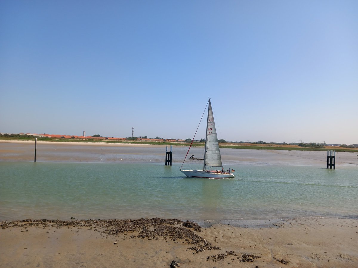 Ilse82667651's tweet image. #joyinspring