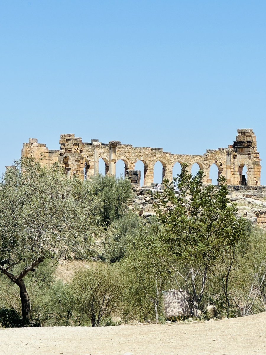 JDMoroccoTours's tweet photo. https://t.co/R8d0JJBQ5P
#Volubilis #RomanCity https://t.co/PA9sQZEIiU