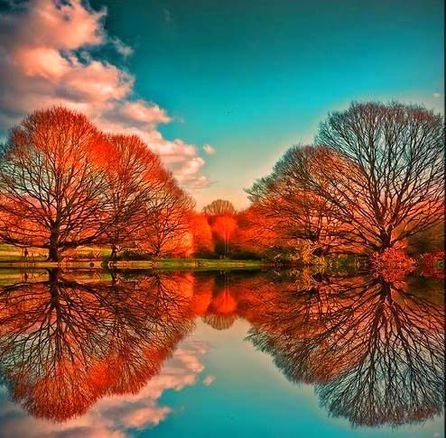 Good evening dear friends !
#photos #photography #evening #dunset
