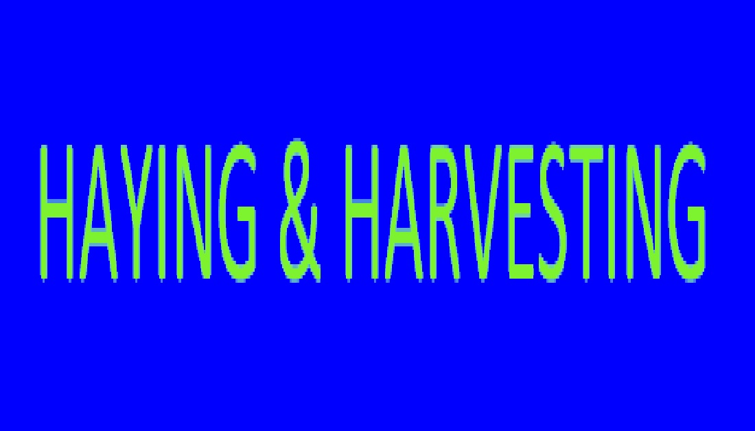 FarmZillaClass's tweet image. FOR SALE: JD 1600A haybine; Wanted: 17 cu. ft. trike tilt trailer #haying #harvesting #haybine #triketilt #trailer #wanted #forsale surl.li/iamdf  ☎