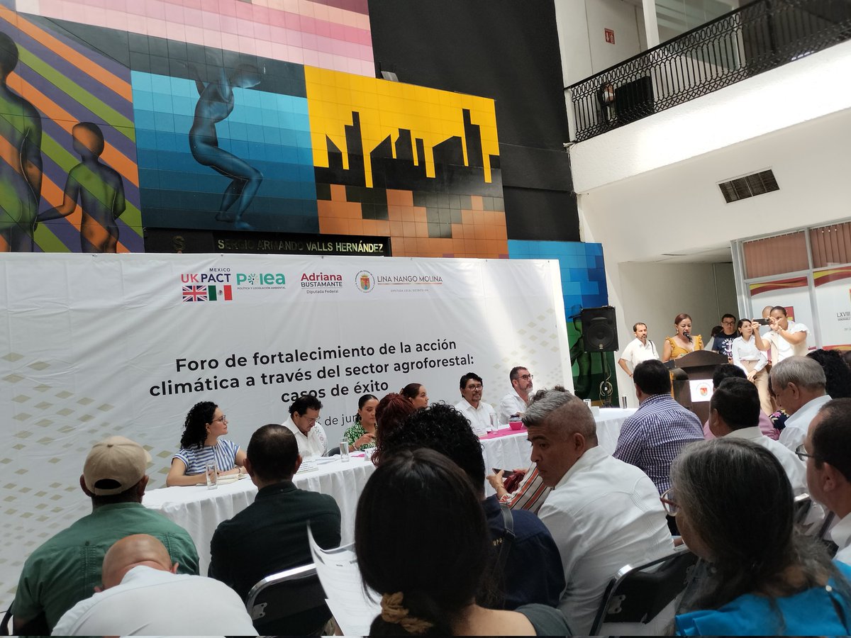 serintegralchis's tweet photo. Foro de Fortalecimiento de la Acción Climática a través del Sector Agroforestal #CambioClimático #Chiapas https://t.co/ShN1VPd6H4