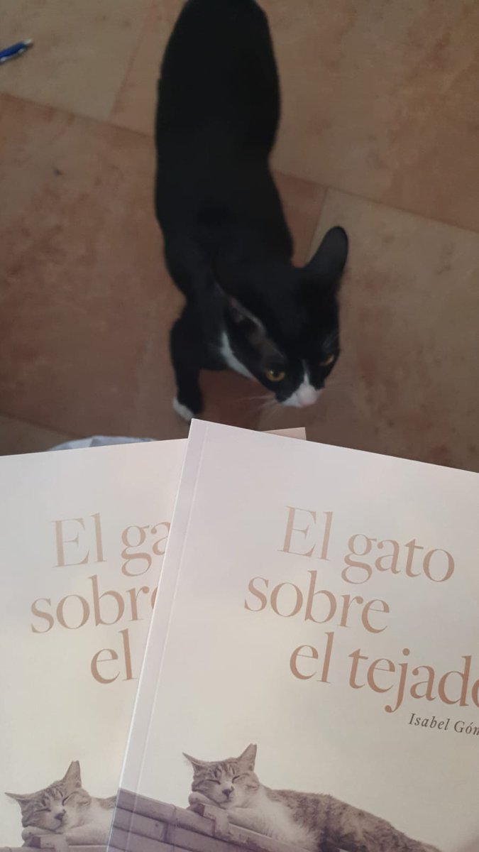 Isabel Gómez tweet media